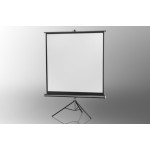 Projection screen on foot ceiling Economy 219 x 219 cm