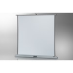 Mobile PRO 120 x 120 ceiling projection screen