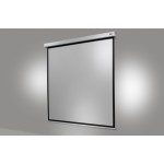 Manual PRO more 240 x 240cm ceiling projection screen