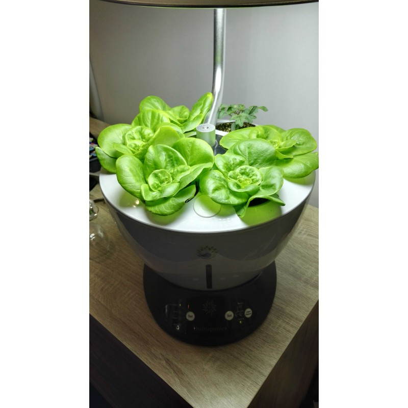 Gardener of hydroponics for indoor culture automatic CONE (large, white) - image 23770