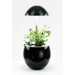 Gardener of hydroponics for automatic indoor culture POME (small, black)