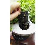 Jardinero de hidroponía para cultivo interior automático pepita (pequeño, negro)