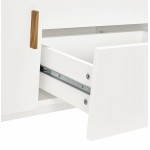 Design row buffet style Scandinavian 2 KARL wooden doors (matte white)