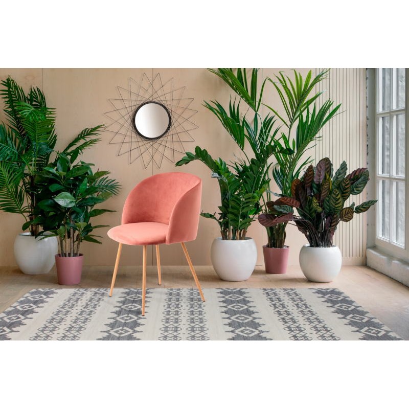 Set of 2 chairs in Velvet Scandinavian LISY (Rose) - image 42063
