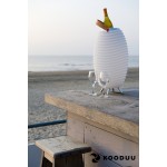 Lamp LED bucket champagne pregnant speaker bluetooth KOODUU synergy 65PRO (white)