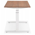 Seated standing electric wooden white feet KESSY (140x70 cm) (walnut finish)