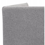 Canapé droit design tissu 2 places DIXON (gris clair)
